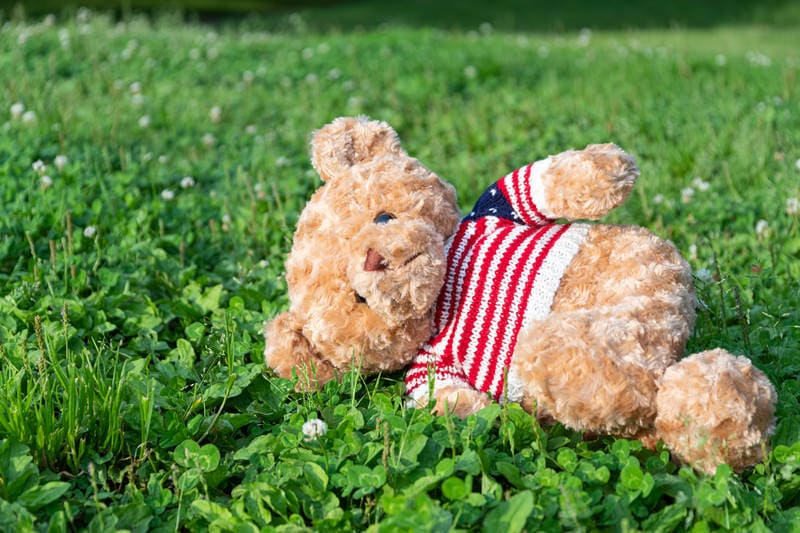 原っぱで横たわるクマのぬいぐるみ